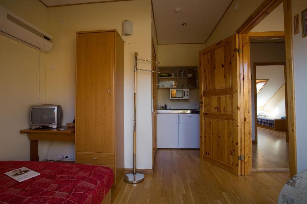 Love Island Guesthouse ドルスキニンカイ 部屋 写真